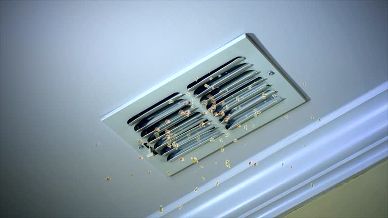 Best Dryer Vent Cleaning Services  in Kerman, CA