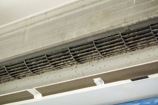 Best HVAC Duct Inspection Services  in Kerman, CA